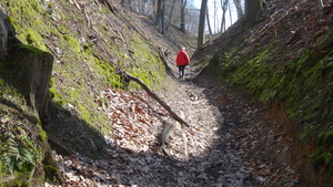 OMGEVING OTTENBURG-HULDENBERG