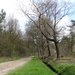 OMGEVING BERENDRECHT