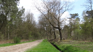 OMGEVING BERENDRECHT