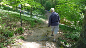 OMGEVING HUIZINGEN-HALLERBOS