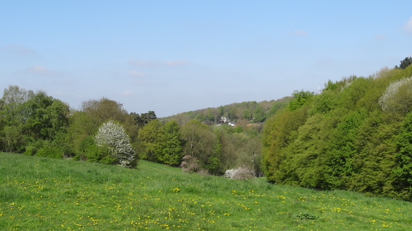 OMGEVING HUIZINGEN-HALLERBOS