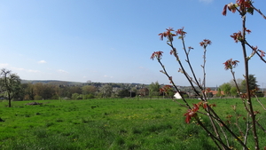 OMGEVING HUIZINGEN-HALLERBOS