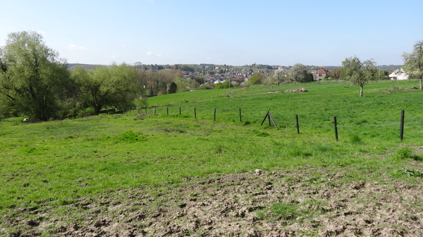 OMGEVING HUIZINGEN-HALLERBOS