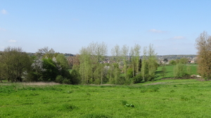 OMGEVING HUIZINGEN-HALLERBOS