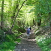 OMGEVING HUIZINGEN-HALLERBOS