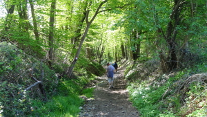 OMGEVING HUIZINGEN-HALLERBOS