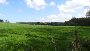 OMGEVING HUIZINGEN-HALLERBOS