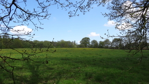 OMGEVING HUIZINGEN-HALLERBOS