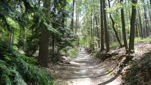 OMGEVING HUIZINGEN-HALLERBOS