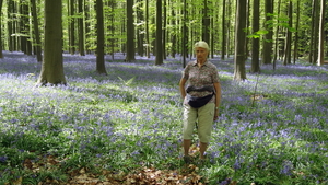 OMGEVING HUIZINGEN-HALLERBOS