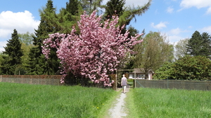 OMGEVING HUIZINGEN-HALLERBOS