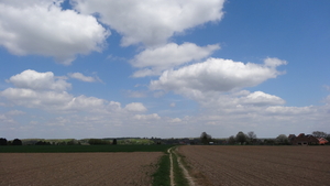 OMGEVING HUIZINGEN-HALLERBOS