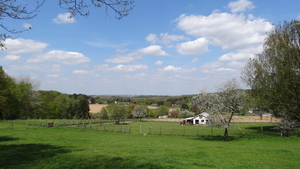 OMGEVING HUIZINGEN-HALLERBOS