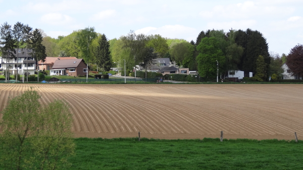 OMGEVING HUIZINGEN-HALLERBOS