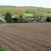 OMGEVING HUIZINGEN-HALLERBOS