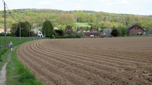 OMGEVING HUIZINGEN-HALLERBOS