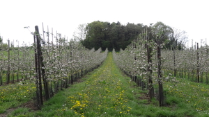 OMGEVING HOUWAART-TIELT WINGE