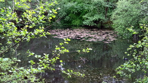 OMGEVING ZANDHOVEN