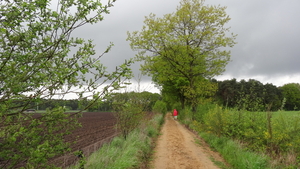 OMGEVING ZANDHOVEN