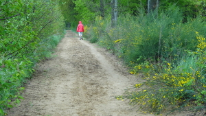 OMGEVING ZANDHOVEN