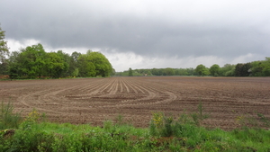 OMGEVING ZANDHOVEN