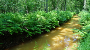 OMGEVING TURNHOUT-ZEVENDONK