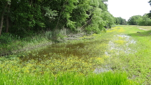 OMGEVING DE KLINGE