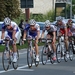 koers berlare  26-9-2013 168