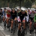 Sluitingsprijs  Putte 15-10-2013 010