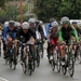 Sluitingsprijs  Putte 15-10-2013 031