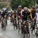Sluitingsprijs  Putte 15-10-2013 032
