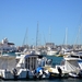 050 Torremolinos - Benálmadena jachthaven 28.10 - 4.11.2013