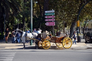 437 Màlaga   4.11.2013