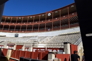 517 Màlaga - Arena met jaarmarkt 2.11.2013