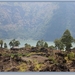 Batur  (19)