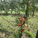 DSC03831