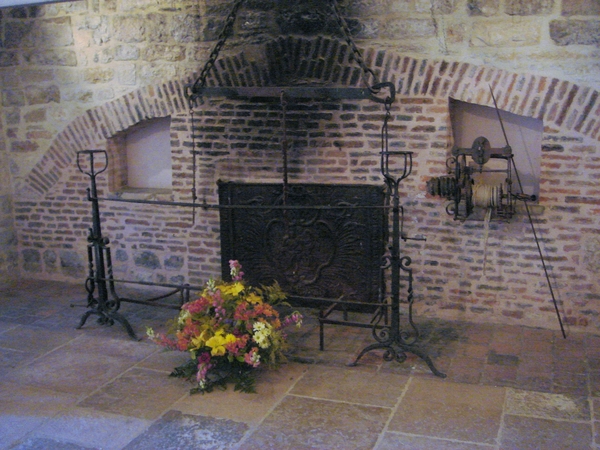 Chat du Clos de Vougeot 5