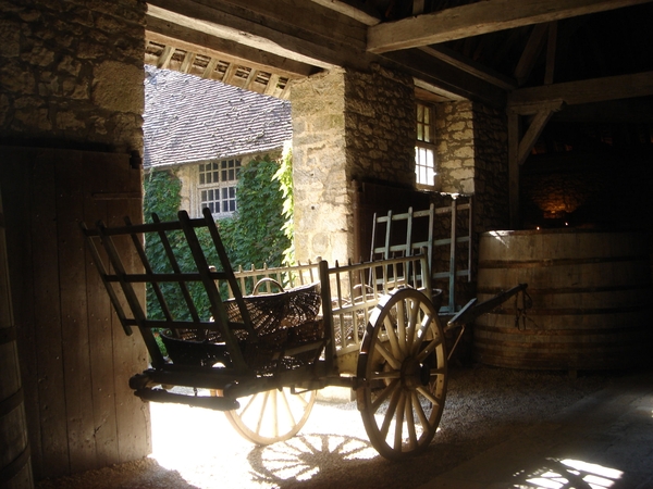 Chat du Clos de Vougeot 8