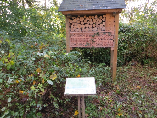 2013-11-13 Waasmunster 13