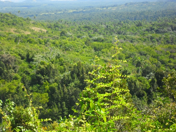 Cuba 090