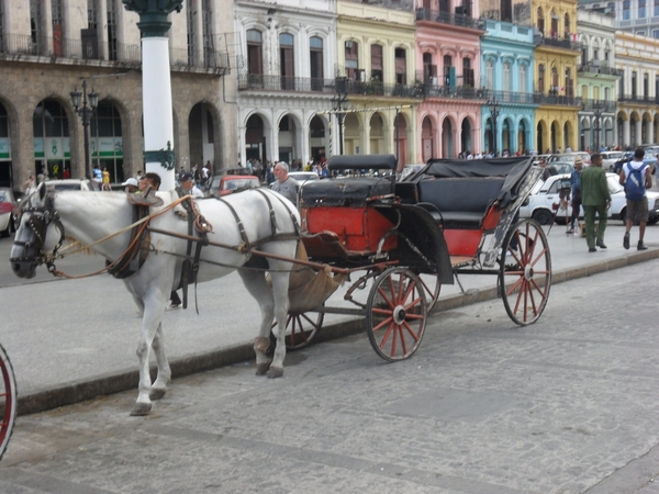 Cuba 113