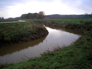 wordt de Dijle een echt Rivierke