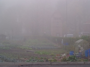 Helaas letterlijk in de mist