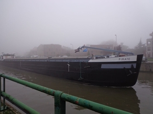 Vrachtschip op de Schelde