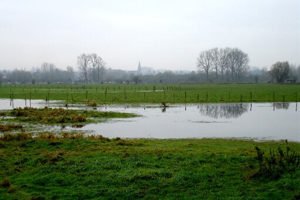 wandeling Denderleeuw marche ardennenwandelaar