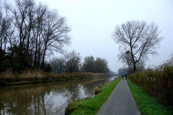 wandeling Denderleeuw marche ardennenwandelaar