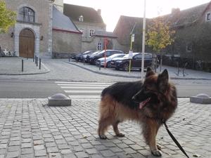 in het centrum van het dorp