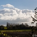 hamme zogge 2013 2014-0555