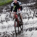 hamme zogge 2013 2014-0334