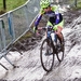 hamme zogge 2013 2014-0340